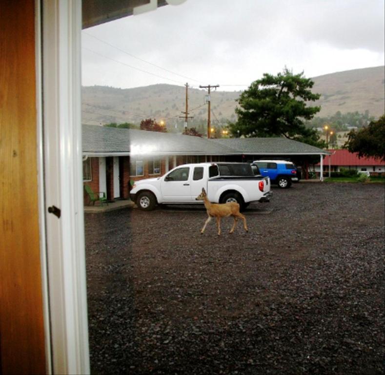 Golden West Motel Klamath Falls Exteriér fotografie